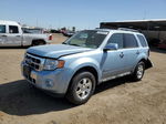 2009 Ford Escape Hybrid Синий vin: 1FMCU59329KC14268