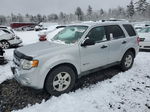 2009 Ford Escape Hybrid Silver vin: 1FMCU59339KA69662