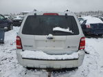 2009 Ford Escape Hybrid Silver vin: 1FMCU59339KA69662