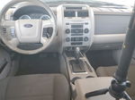 2009 Ford Escape Hybrid Белый vin: 1FMCU59339KB61256