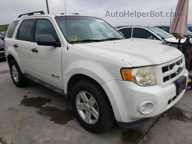 2009 Ford Escape Hybrid White vin: 1FMCU59349KA69797