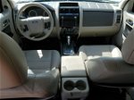 2009 Ford Escape Hybrid Белый vin: 1FMCU59349KB09490