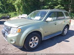 2009 Ford Escape Hybrid Limited Green vin: 1FMCU59359KA02268