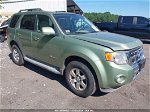 2009 Ford Escape Hybrid Limited Green vin: 1FMCU59359KA02268