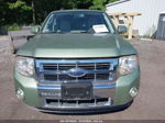 2009 Ford Escape Hybrid Limited Green vin: 1FMCU59359KA02268