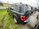 2009 Ford Escape Hybrid Gray vin: 1FMCU59369KA71230