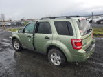 2009 Ford Escape Hybrid Зеленый vin: 1FMCU59369KB20149