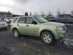 2009 Ford Escape Hybrid Green vin: 1FMCU59369KB20149