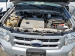 2009 Ford Escape Hybrid Silver vin: 1FMCU59369KB27943