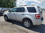 2009 Ford Escape Hybrid Silver vin: 1FMCU59389KA32395