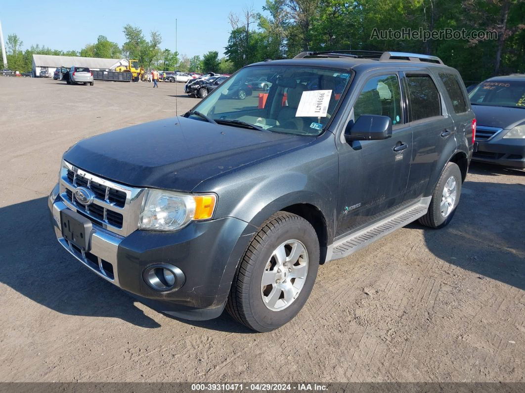 2009 Ford Escape Hybrid Limited Серый vin: 1FMCU59389KC01797