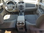 2009 Ford Escape Hybrid Белый vin: 1FMCU59389KC19183