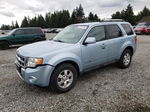 2009 Ford Escape Hybrid Blue vin: 1FMCU593X9KA88872