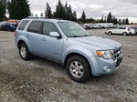 2009 Ford Escape Hybrid Blue vin: 1FMCU593X9KA88872