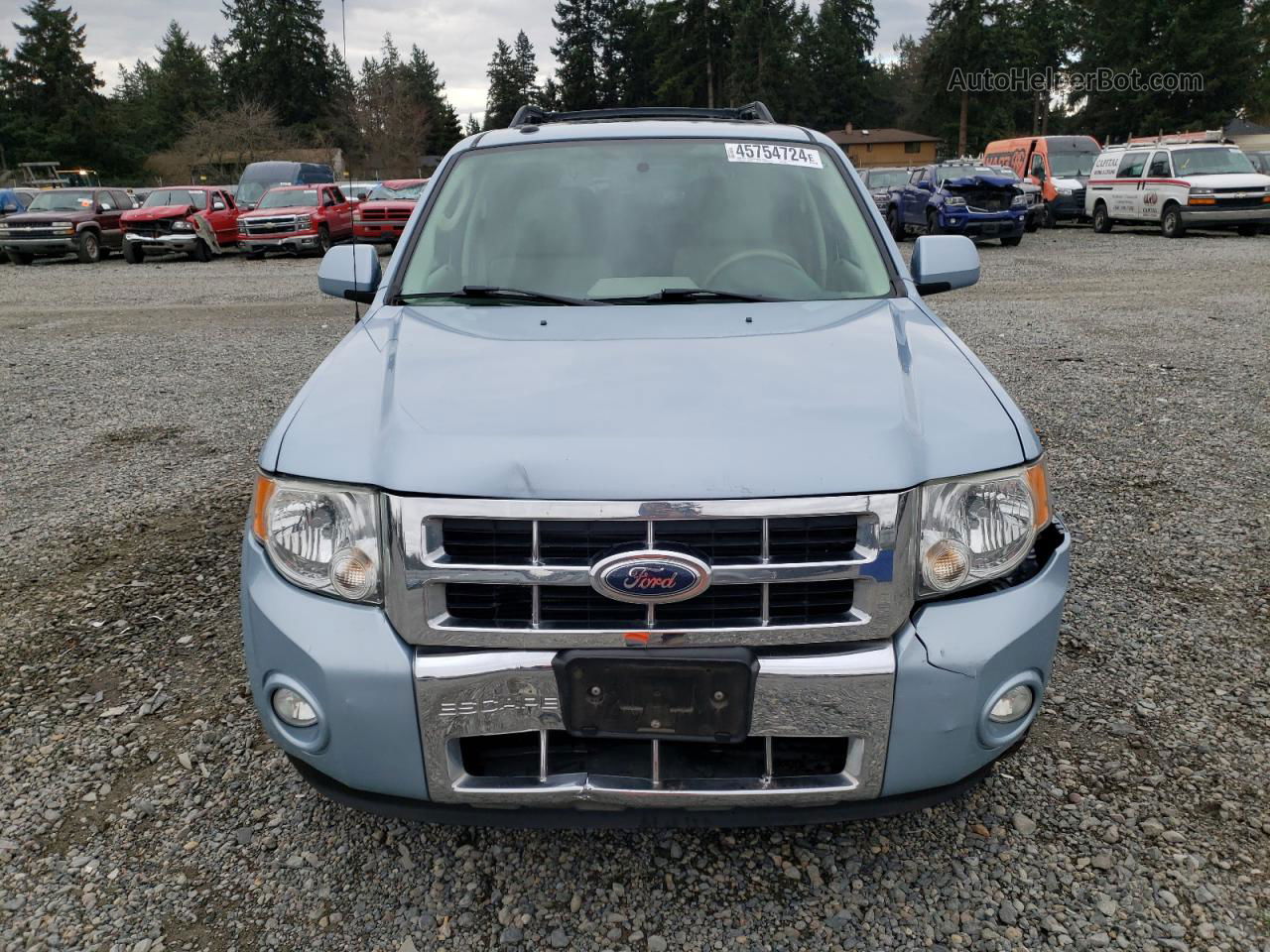 2009 Ford Escape Hybrid Blue vin: 1FMCU593X9KA88872