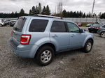 2009 Ford Escape Hybrid Blue vin: 1FMCU593X9KA88872