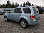 2009 Ford Escape Hybrid Blue vin: 1FMCU593X9KA88872