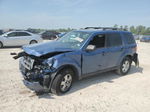 2009 Ford Escape Xlt Синий vin: 1FMCU93709KA62459