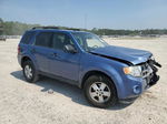 2009 Ford Escape Xlt Blue vin: 1FMCU93709KA62459