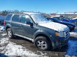 2009 Ford Escape Xlt Black vin: 1FMCU93709KB39976