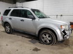 2009 Ford Escape Xlt Silver vin: 1FMCU93719KA93669