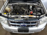 2009 Ford Escape Xlt Silver vin: 1FMCU93749KA20344