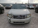 2009 Ford Escape Xlt Белый vin: 1FMCU93749KC67170