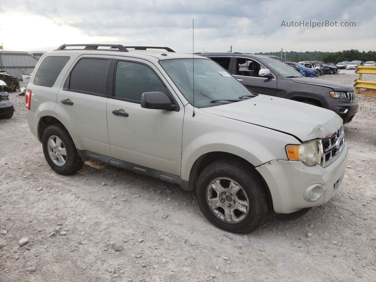 2009 Ford Escape Xlt Белый vin: 1FMCU93749KC67170