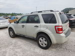 2009 Ford Escape Xlt White vin: 1FMCU93749KC67170