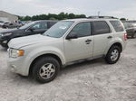 2009 Ford Escape Xlt White vin: 1FMCU93749KC67170