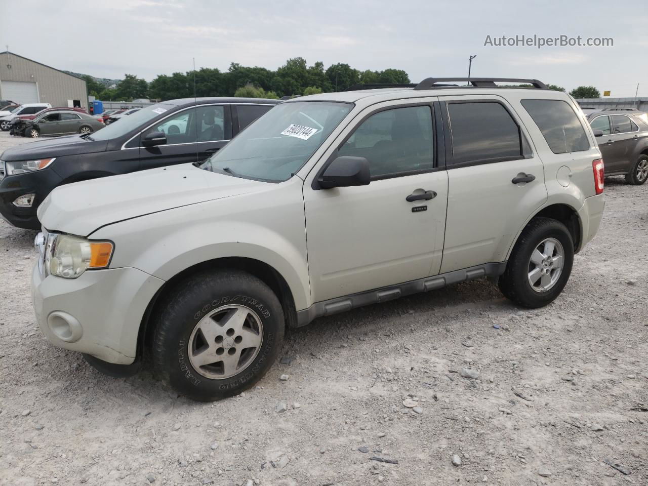 2009 Ford Escape Xlt Белый vin: 1FMCU93749KC67170