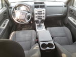 2009 Ford Escape Xlt Белый vin: 1FMCU93749KC67170