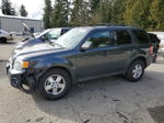 2009 Ford Escape Xlt Green vin: 1FMCU93759KB30531