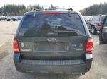 2009 Ford Escape Xlt Green vin: 1FMCU93759KB30531