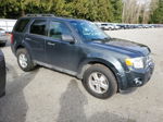 2009 Ford Escape Xlt Green vin: 1FMCU93759KB30531