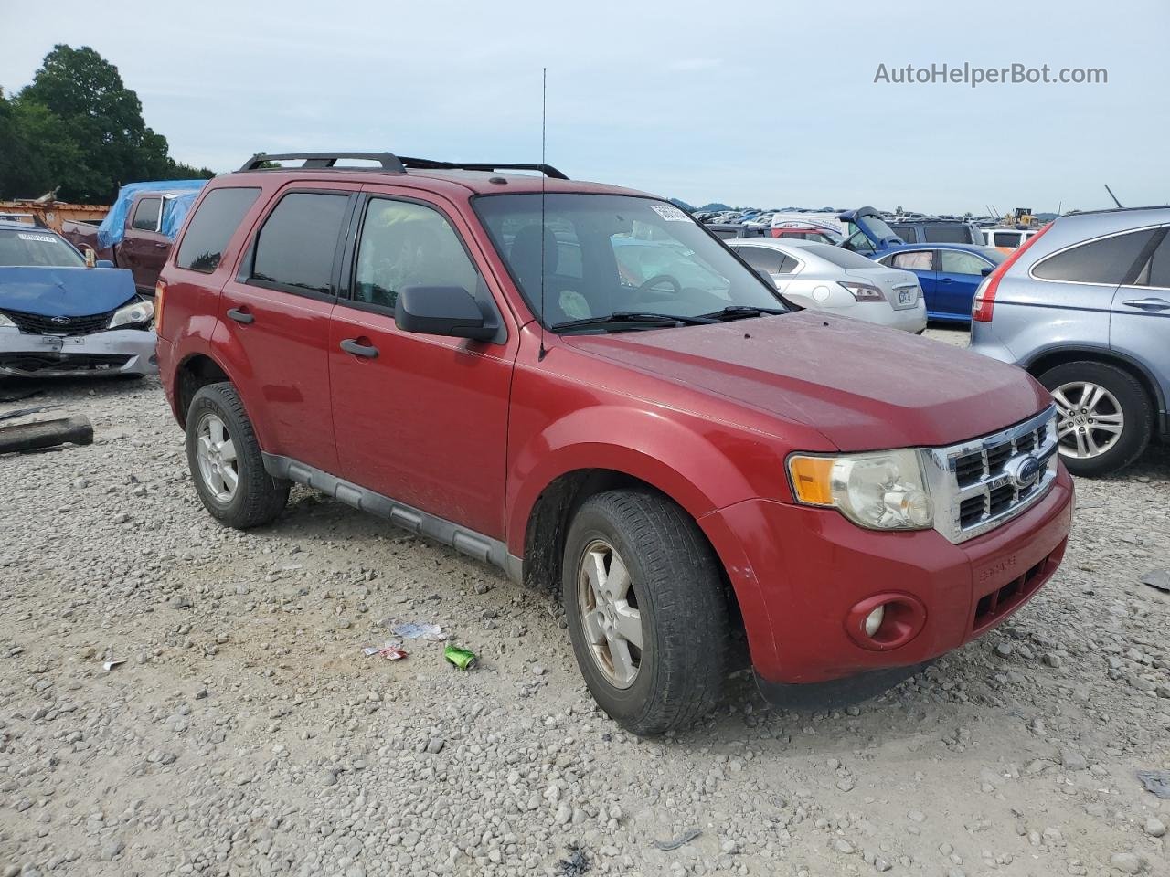 2009 Ford Escape Xlt Red vin: 1FMCU93759KC59093