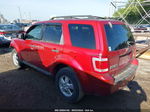 2009 Ford Escape Xlt Red vin: 1FMCU93769KA17512