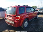 2009 Ford Escape Xlt Red vin: 1FMCU93769KA17512