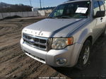 2009 Ford Escape Xlt Silver vin: 1FMCU93769KA29384