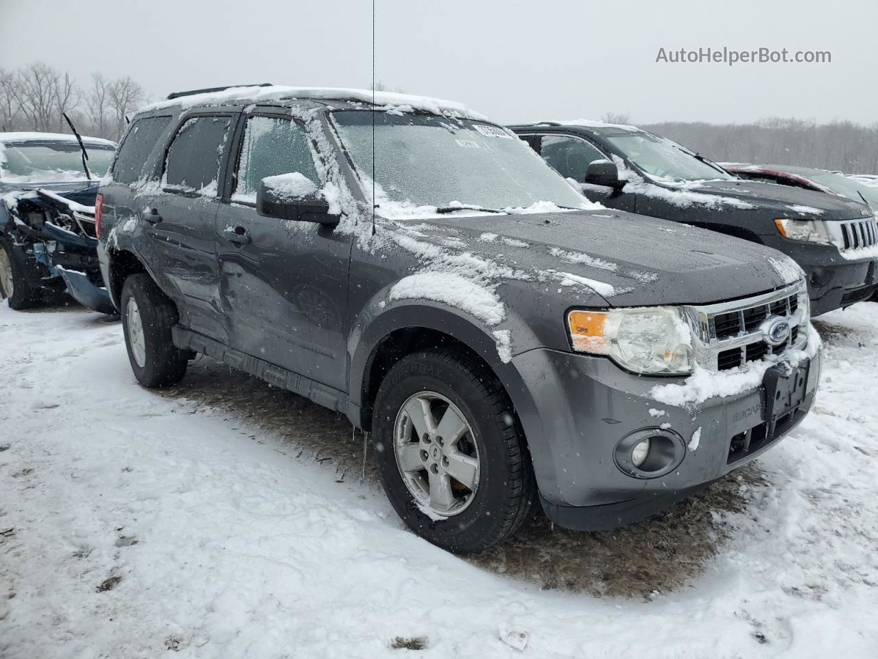 2009 Ford Escape Xlt Gray vin: 1FMCU93769KC65856