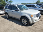 2009 Ford Escape Xlt Gray vin: 1FMCU93779KC30372