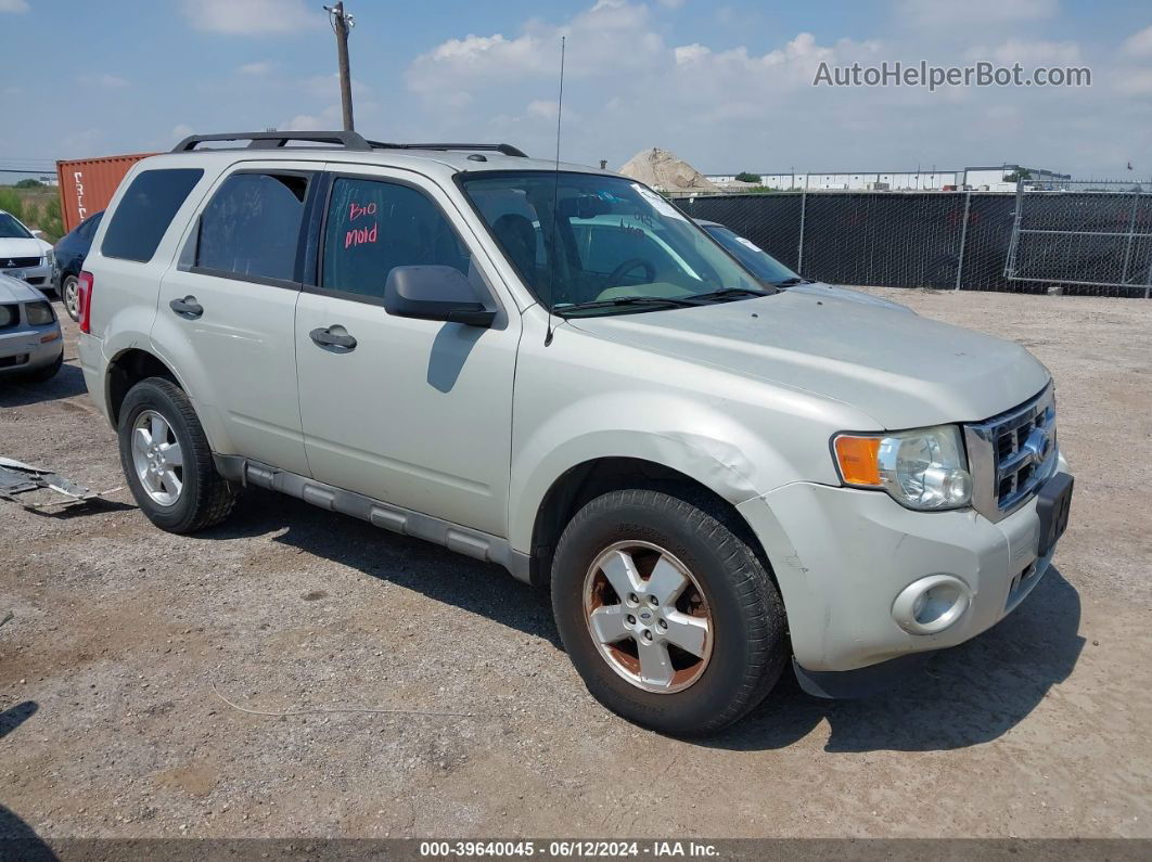 2009 Ford Escape Xlt Beige vin: 1FMCU93789KA29287