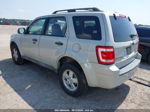 2009 Ford Escape Xlt Beige vin: 1FMCU93789KA29287