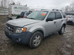 2009 Ford Escape Xlt Серебряный vin: 1FMCU93799KD00051