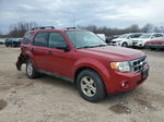 2009 Ford Escape Xlt Red vin: 1FMCU93799KD04181