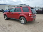 2009 Ford Escape Xlt Red vin: 1FMCU93799KD04181