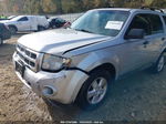 2009 Ford Escape Xlt Silver vin: 1FMCU93G09KA80380