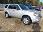 2009 Ford Escape Xlt Silver vin: 1FMCU93G09KA80380