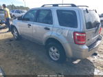 2009 Ford Escape Xlt Silver vin: 1FMCU93G09KA80380