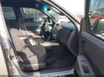 2009 Ford Escape Xlt Silver vin: 1FMCU93G09KA80380